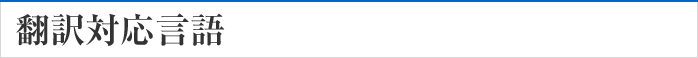 翻訳対応言語